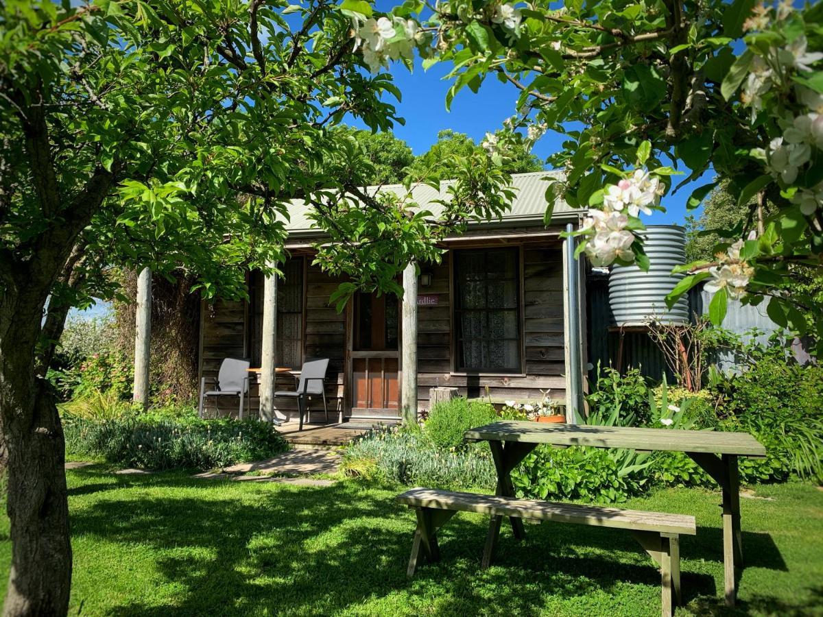 Cherry Plum Cottages Port Fairy Buitenkant foto