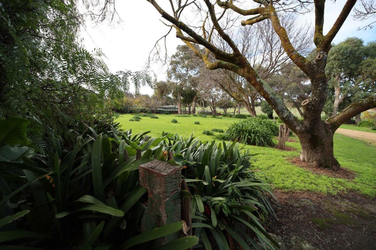 Cherry Plum Cottages Port Fairy Buitenkant foto
