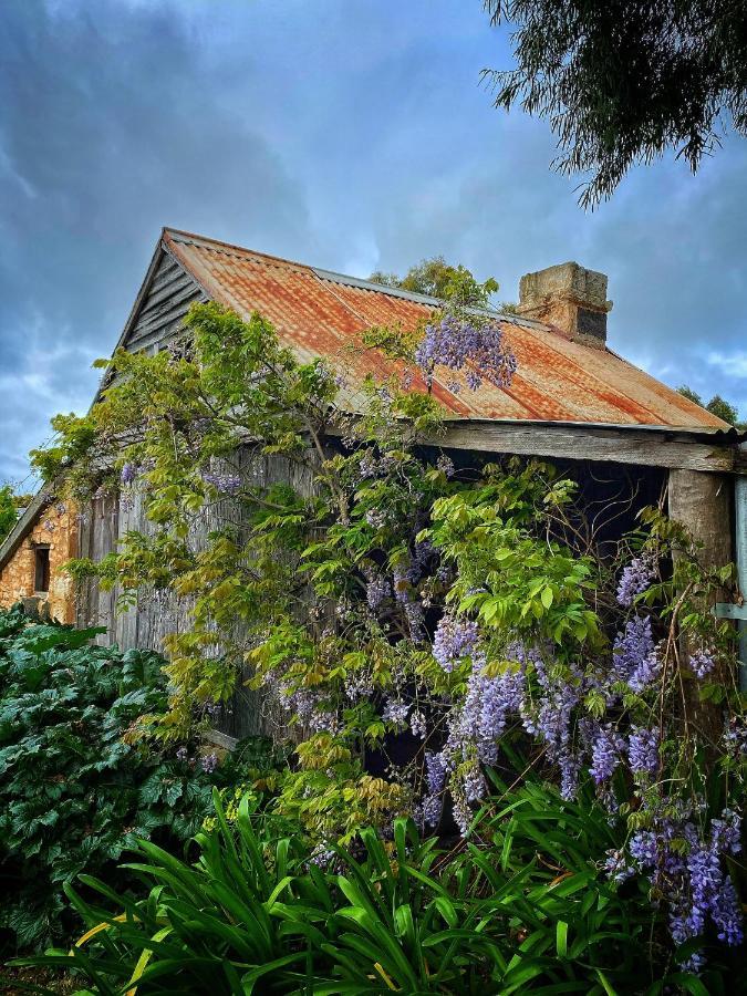 Cherry Plum Cottages Port Fairy Buitenkant foto